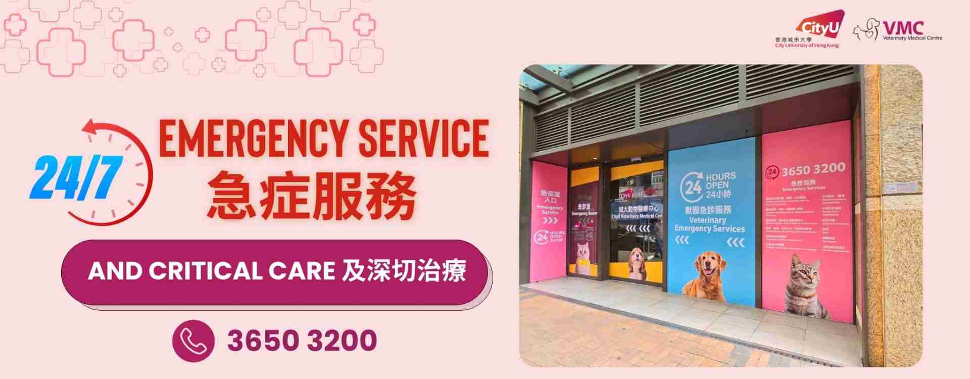 城大動物醫療中心 相片 2