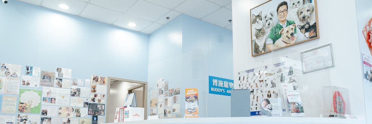 博施寵物綜合醫療中心 相片 2