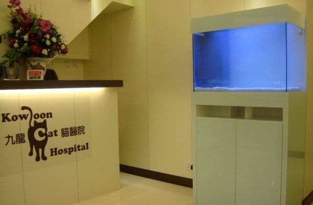 九龍貓醫院 診所相片