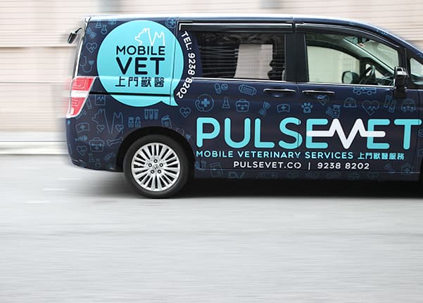 Pulsevet 獸醫中心 診所相片
