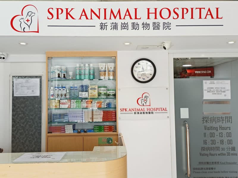 新蒲崗動物醫院 診所相片