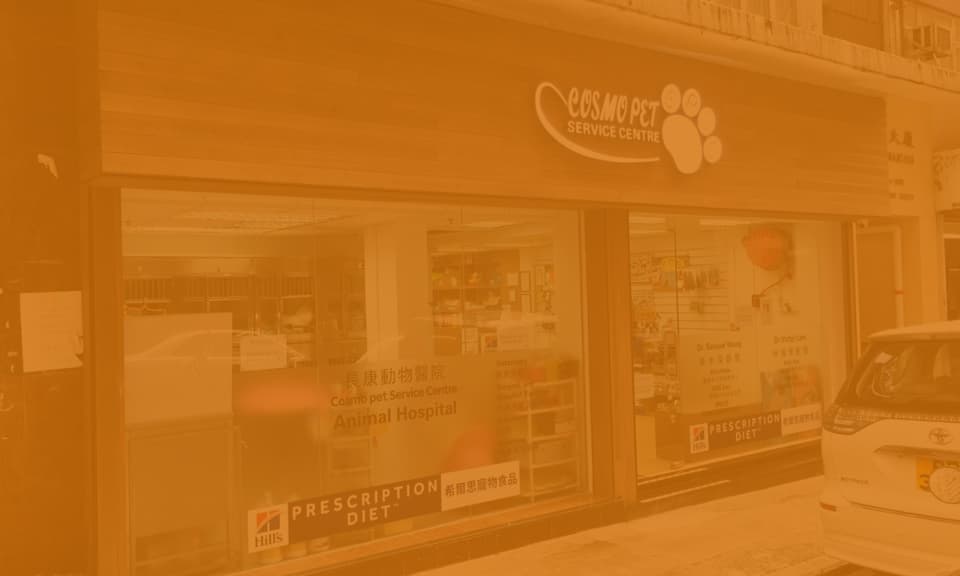 長康動物醫院 診所相片