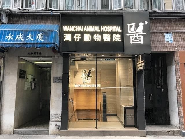 灣仔動物醫院 診所相片