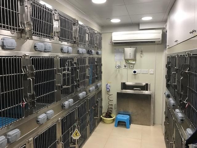 灣仔動物醫院 相片 2