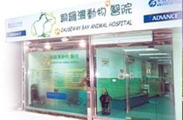 銅鑼灣動物醫院 診所相片