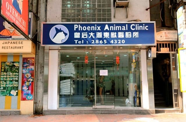皇后大道東獸醫診所 相片 2