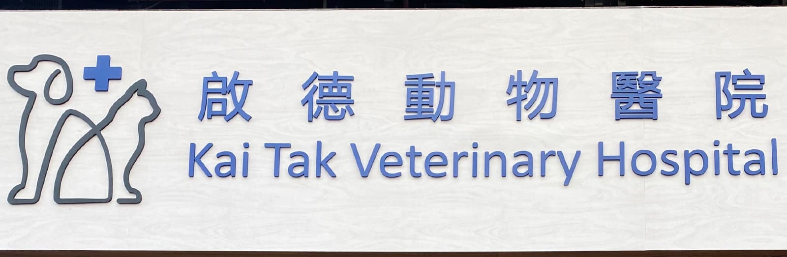 啟德動物醫院 相片 2