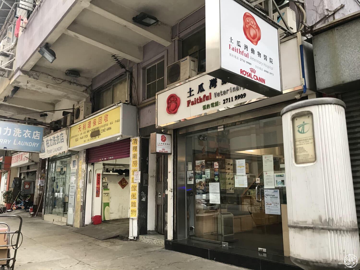 土瓜灣動物醫院