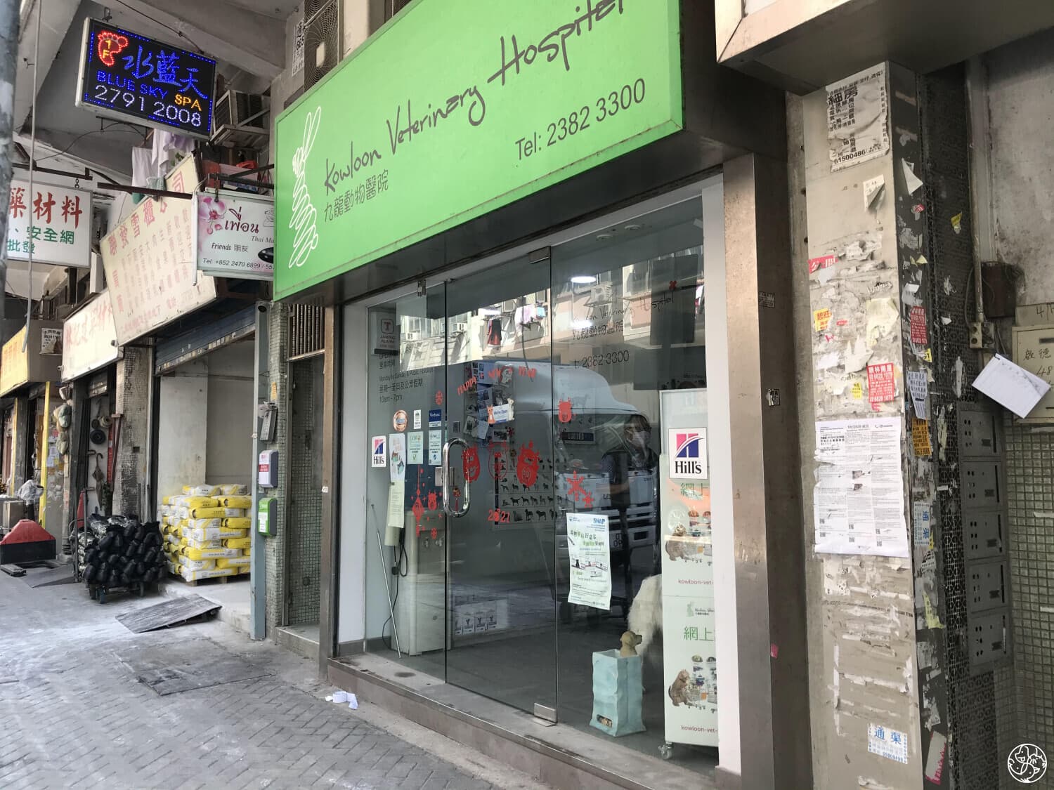 九龍動物醫院