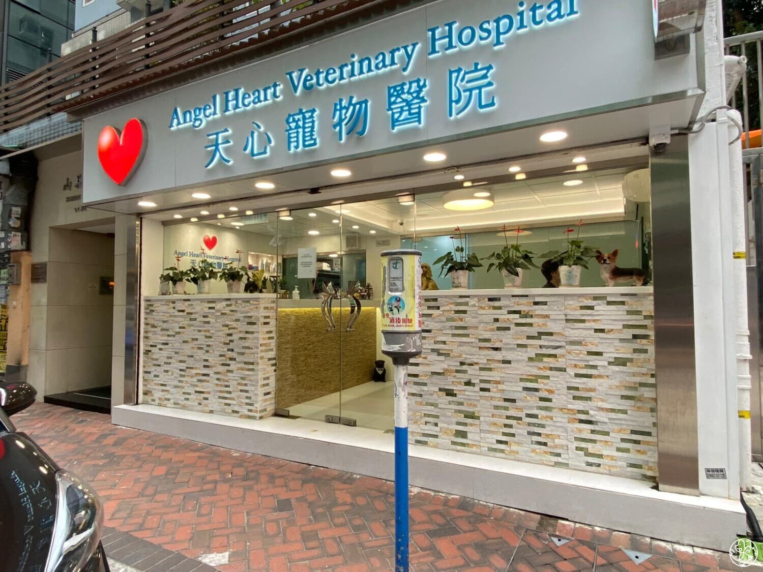 天心寵物醫院