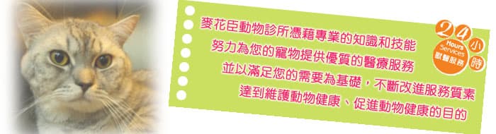 麥花臣動物診所