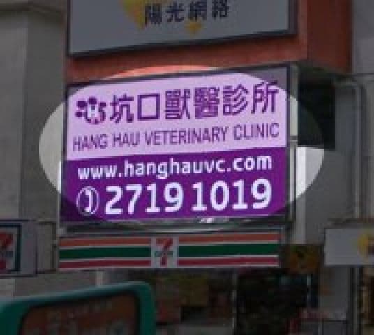 坑口獸醫診所 相片 2