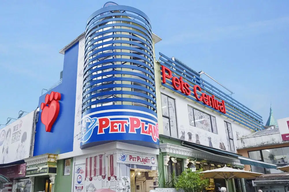 Pets Central Sai Kung Animal Hospital 西貢動物醫院