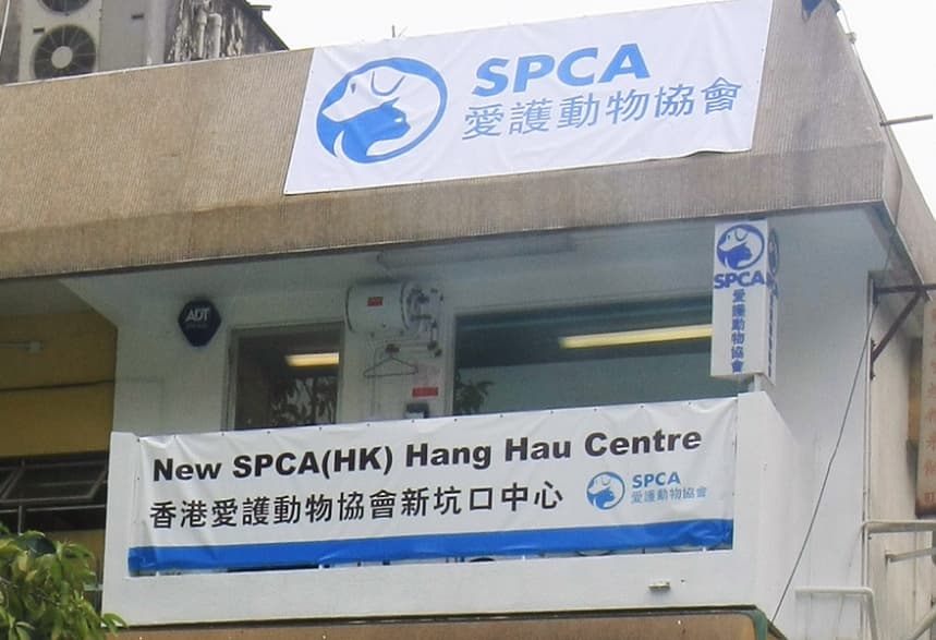 愛護動物協會 坑口中心